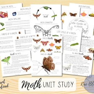 Puede incluir: Un estudio de unidad educativa imprimible sobre polillas, con ilustraciones coloridas de polillas, su ciclo de vida y partes de sus cuerpos. La unidad incluye actividades como deletrear, hacer coincidir y etiquetar.