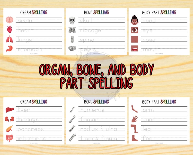 Human Body Unit Study, Human Body Bundle, Learn About the Body, Instant ...