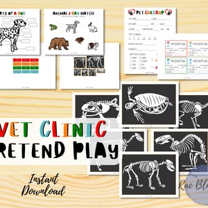 Vet Clinic Pretend Play INSTANT DOWNLOAD, Kids Vet Printable, Animal Learning, Kids Veterinarian Play, Dramatic Play, Homeschool Activity