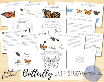 Schmetterling-Einheitsstudie SOFORT-DOWNLOAD, Lebenszyklus eines Schmetterlings, Kinder-Wissenschaftslernen, Spaß-Frühlingsdruck, beschäftigtes Buch, Kindergarten, PreK