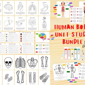 Human Body Unit Study, Human Body Bundle, Learn About the Body, Instant Download, Human Body Printable, Human Body Learning