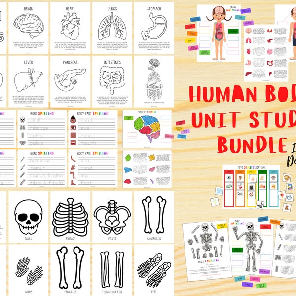 Human Body Unit Study, Human Body Bundle, Learn About the Body, Instant Download, Human Body Printable, Human Body Learning