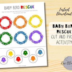 SOFORTIGER DOWNLOAD Baby Vogelrettung Ausschneiden und Einfügen Aktivität, Kinder Schneideübungen, Farben lernen, Kindergarten Arbeitsblatt, druckbare Zuhauseschule
