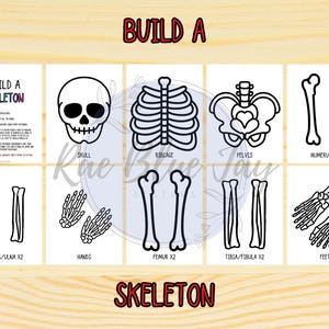 Human Body Unit Study, Human Body Bundle, Learn About the Body, Instant ...