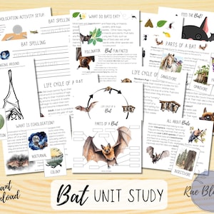 May include: A colorful printable educational unit study about bats. The unit includes information about bat anatomy, diet, habitat, and echolocation. The unit also includes activities such as coloring pages, word searches, and a bat life cycle diagram.