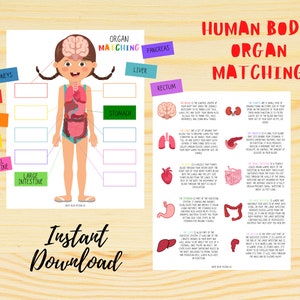 Human Body Study, Organ Matching Version 1, Human Body For Kids, Human Body Learning, Human Body Printable, Parts of the Body