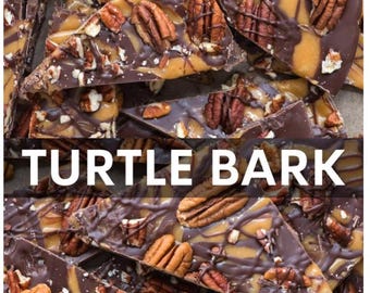 Turtle bark