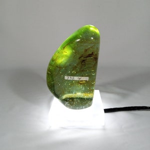 756gr | Clear Natural Andara Crystal Monatomic Motive Polished with Lamp and Dimmer
