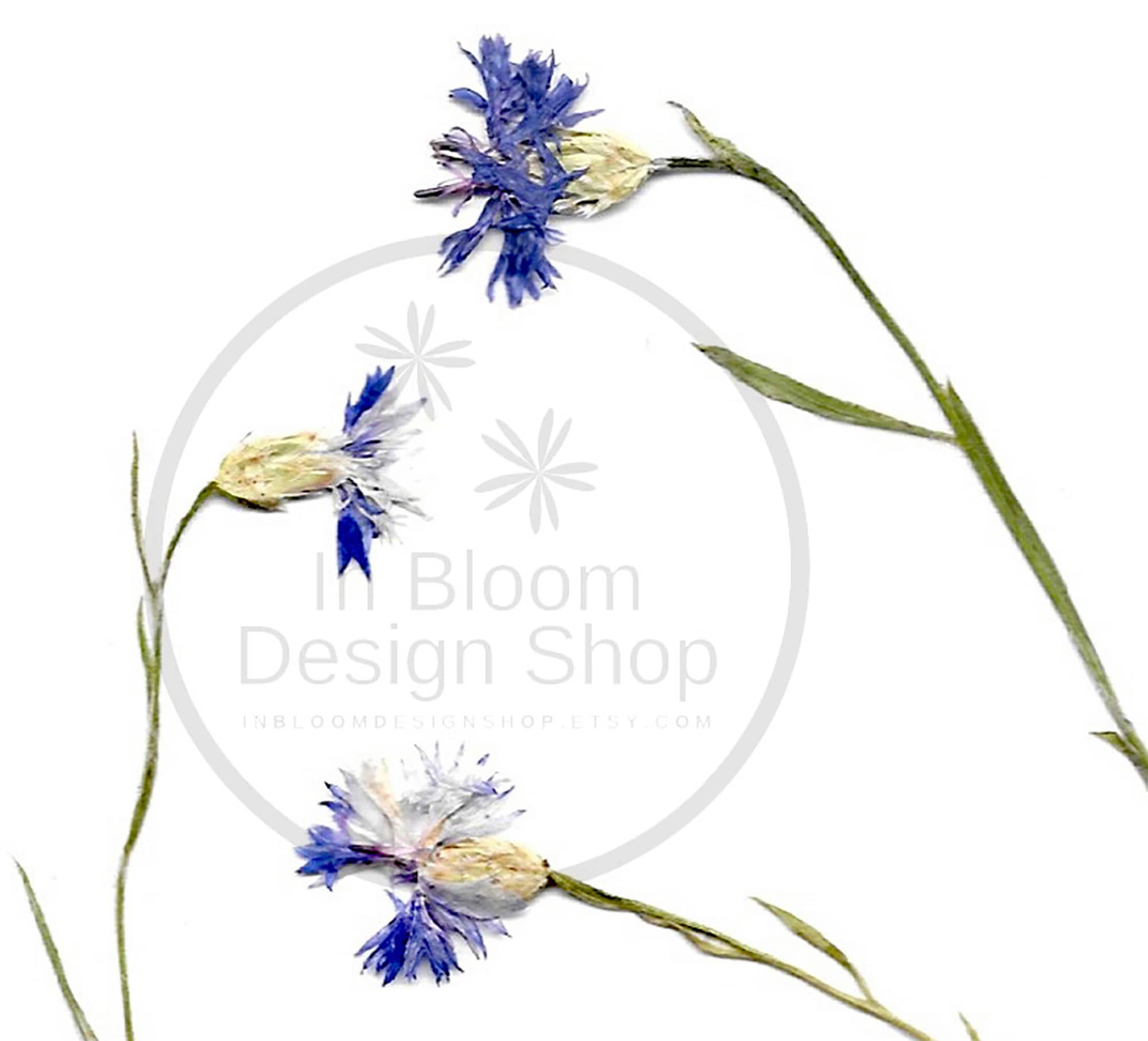 Purple wildflower instant downloadable wall art botanical Etsy