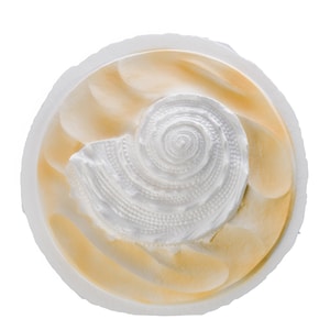 Biodegradable Urn for Human Ashes / Water Burial Urn / Urn for Cremation / Biodegradable Cremation Urn / Oceanside Shell White W-304