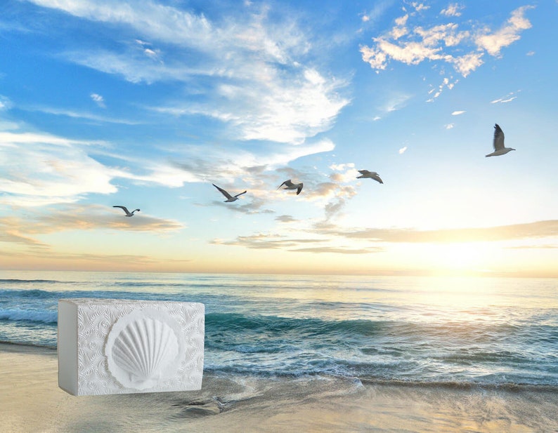 K&ouml;nnte beinhalten: Eine wei&szlig;e, rechteckige Dekorationsbox mit einem Muscheldesign. Die Box steht an einem Sandstrand, im Hintergrund sind das Meer und M&ouml;wen zu sehen. Der Himmel ist blau mit Wolken und die Sonne geht unter.