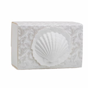 Biodegradable Urn Box, Urn Box for Human Ashes, Water or Earth Burial Urn, Urn for Cremation, Biodegradable Cremation Urn, Large Shell Box