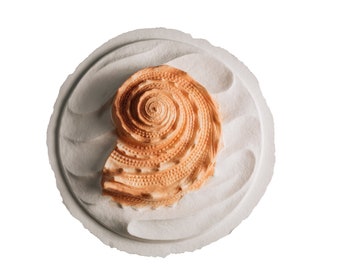 Biodegradable Urn for Human Ashes / Water Burial Urn / Urn for Cremation / Biodegradable Cremation Urn / Oceanside Shell Coral W-305
