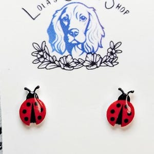 Peut inclure: Boucles d'oreilles clous coccinelle. Chaque boucle d'oreille présente un corps rouge avec des points noirs et une tête noire. Les boucles d'oreilles sont sur une carte blanche avec le texte "Hand made with love" et "STAINLESS STEEL".
