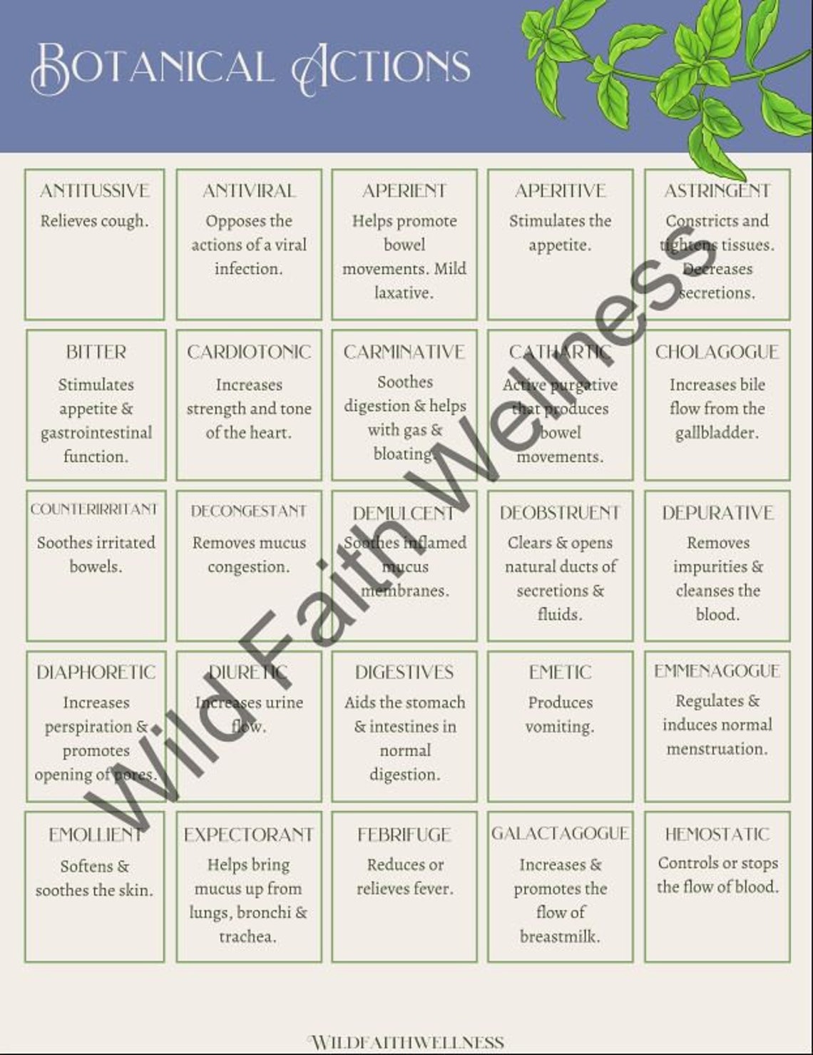 Herbalist Materia Medica Printables Botanical Actions | Etsy