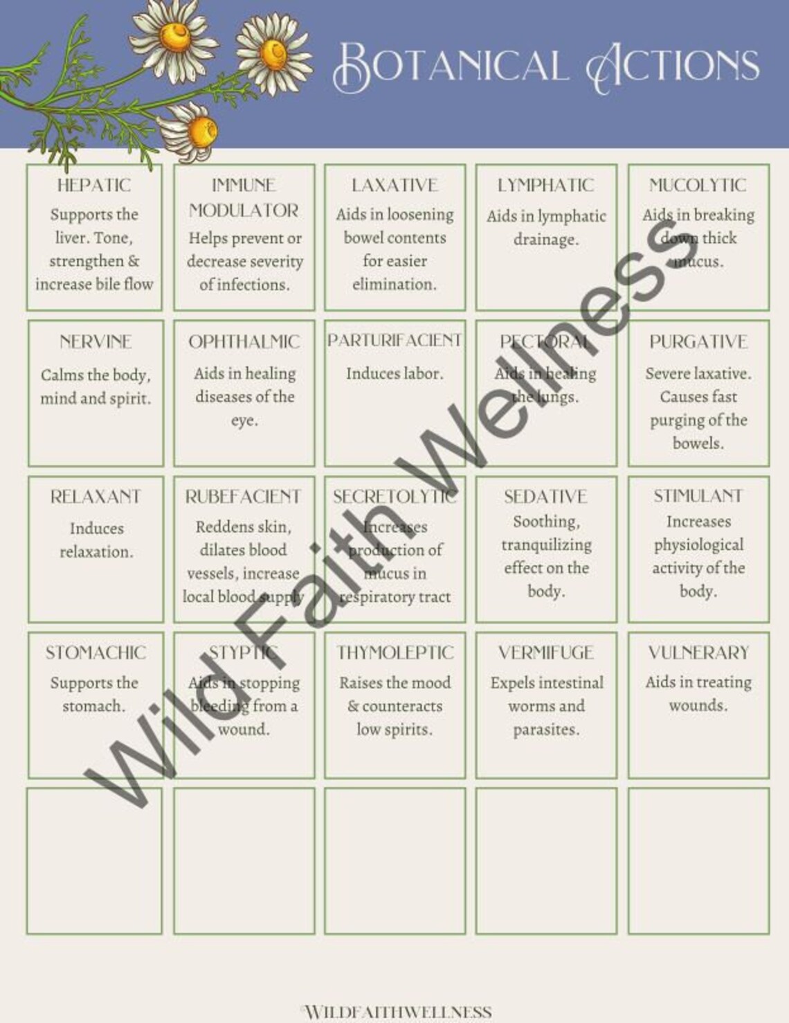 Herbalist Materia Medica Printables Botanical Actions | Etsy