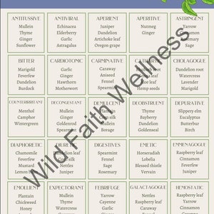 Herbalist Materia Medica Printables Botanical Actions Printables ...