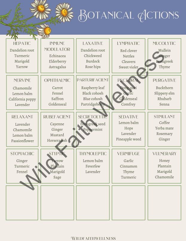 Herbalist Materia Medica Printables Botanical Actions | Etsy