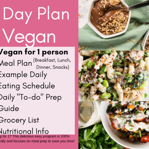 Healthy Vegan for 1 Meal Prep | Printable Recipe eBook | Meal Plan Cookbook | Recipe Pack | Clean Eating PDF | Whole Foods