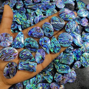 Polished Abalone Shell Cabochons: Rainbow Gemstone for Jewelry Making