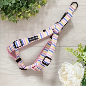 dog harness, step In Harness, dog step in harness