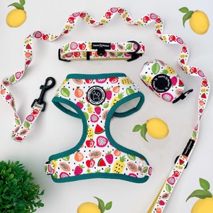 Dog harness, dog boy harness, fruit harness, summer harness, harness set, dog bundle set, dog harness set, cat harness set, tropical fruit
