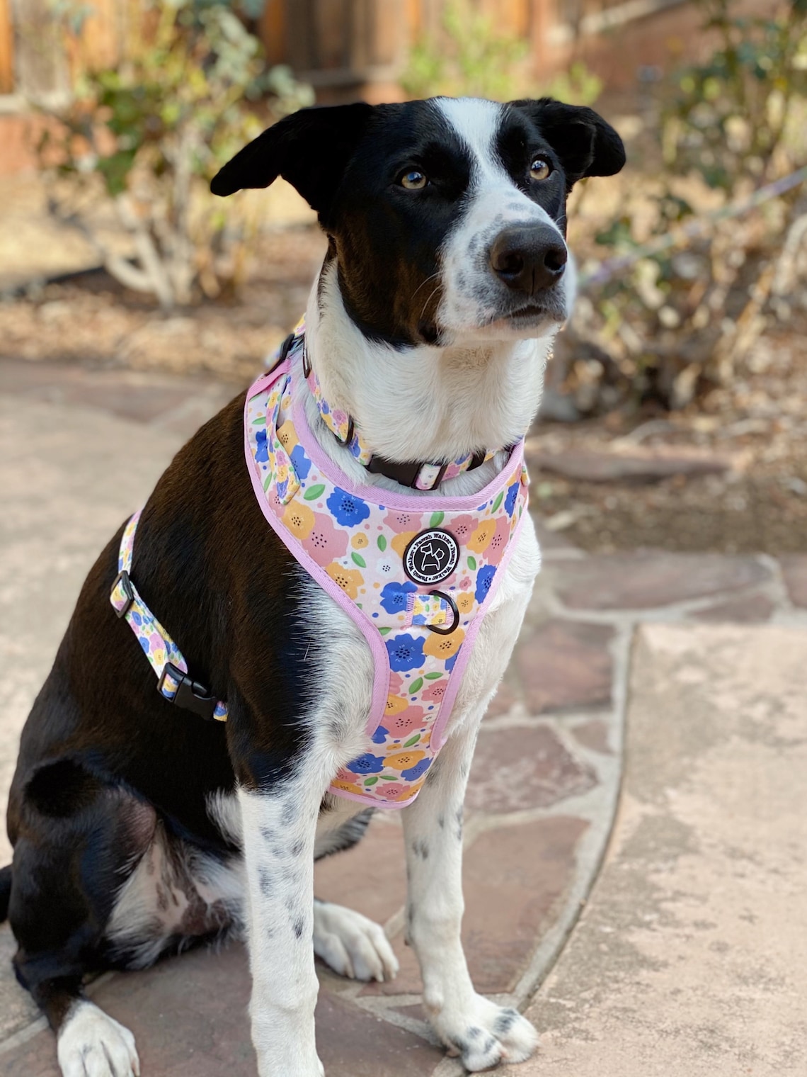 Dog Harness Adjustable Harness Dog Chest Harness Cute Dog Etsy