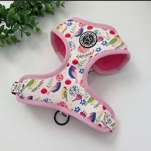 Birds of Love Dog harness, sweet harness, colorful harness, girl harness, pink dog harness