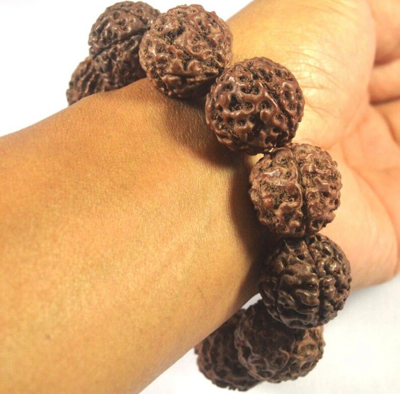 Rare Bracelet Jenitri Rudraksha seed Jumbo 25mm Natural Dark Brown Bracelet healthy.