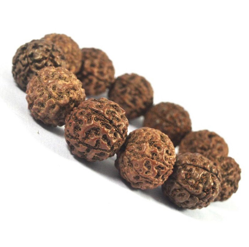 Rare Bracelet Jenitri Rudraksha seed Jumbo 25mm Natural Dark Brown Bracelet healthy.