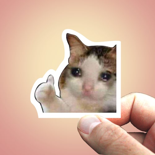 Cried A Little Today Funny Glossy Sticker