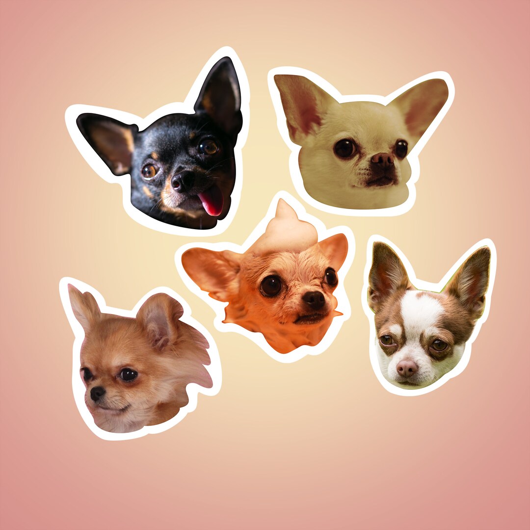 Chihuahua Sticker Pack 5 Funny and Adorable Chihuahua - Etsy