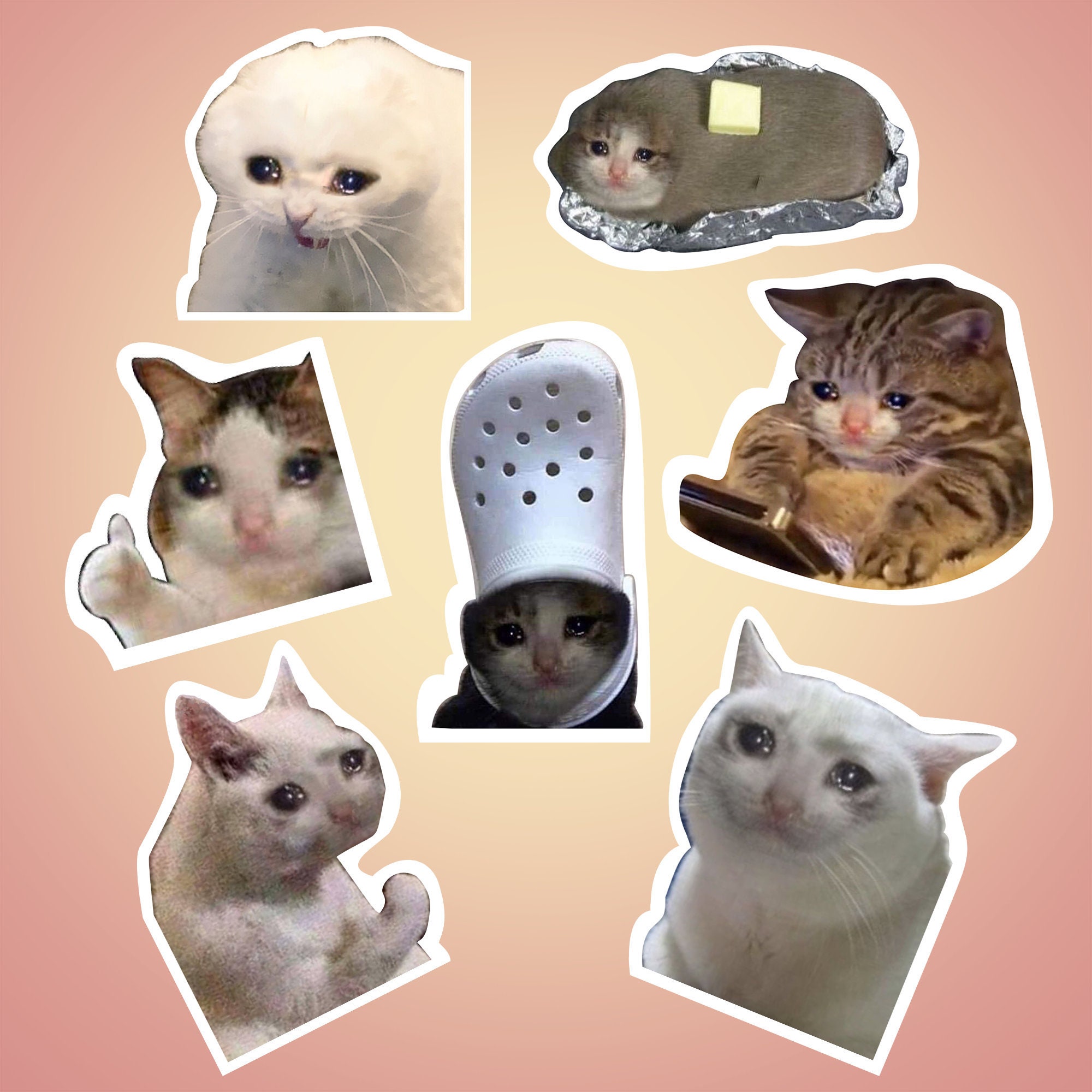 Crying Cat Sticker Pack Pack of 7 Meme Crying Cat Stickers - Etsy