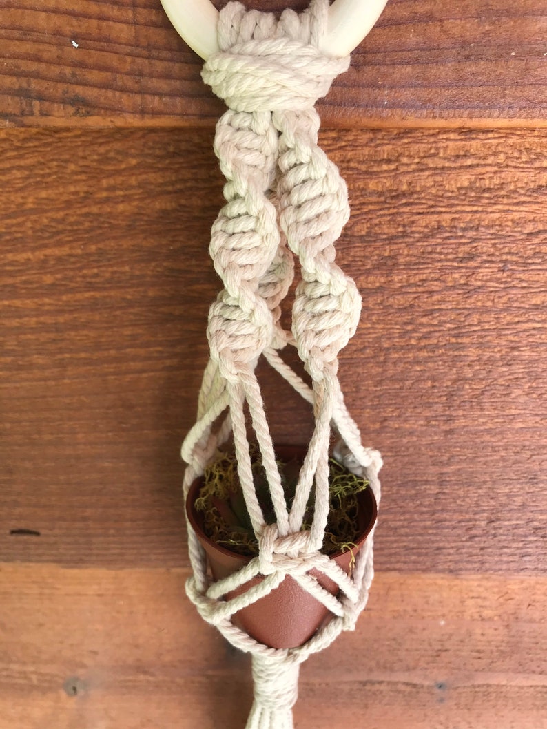 Macram\u00e9 Mini Plant Hanger in Natural
