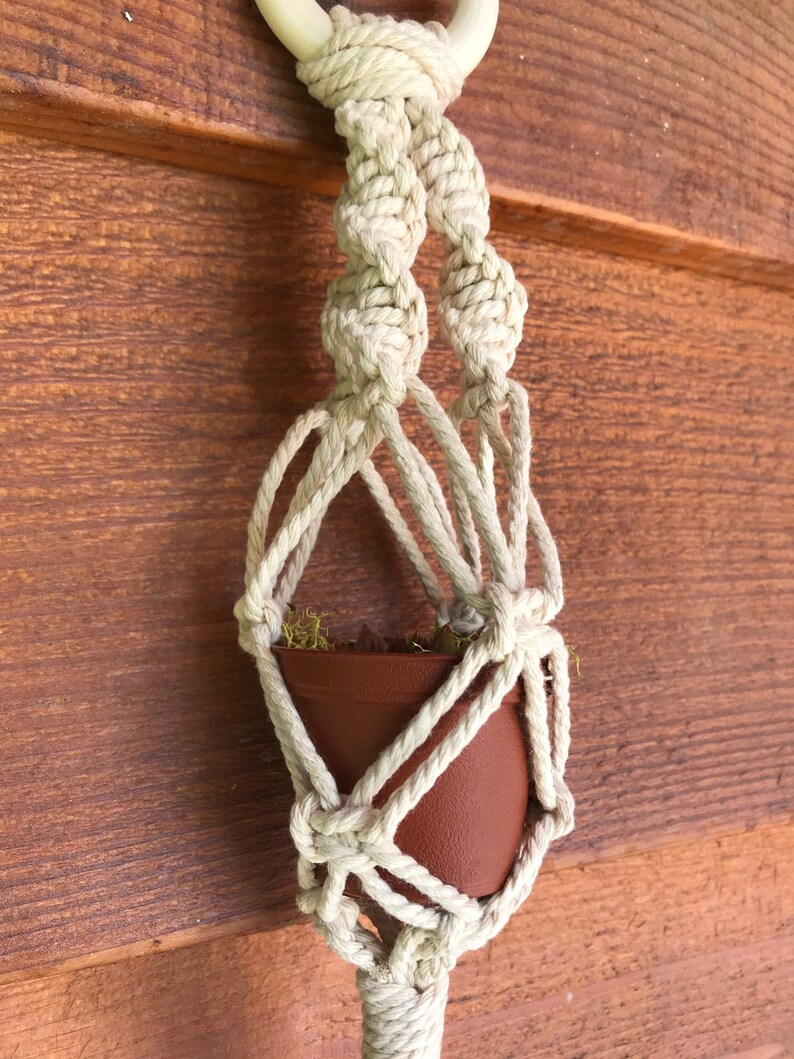 Macram\u00e9 Mini Plant Hanger in Natural