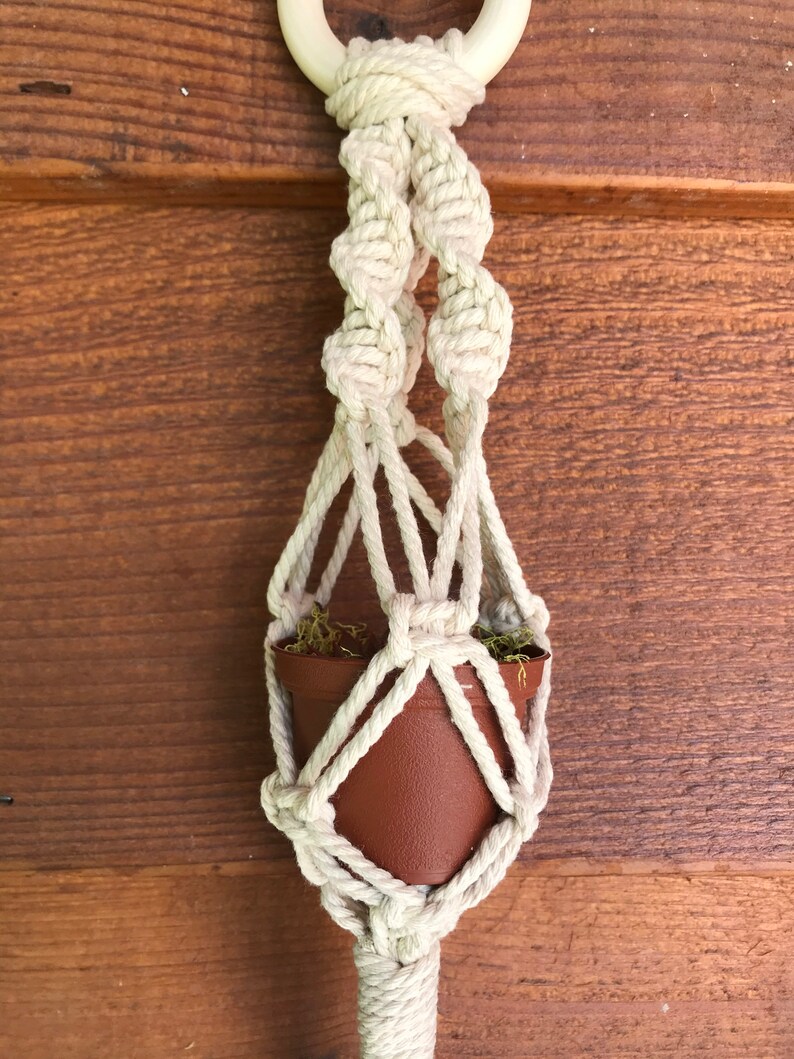 Macram\u00e9 Mini Plant Hanger in Natural