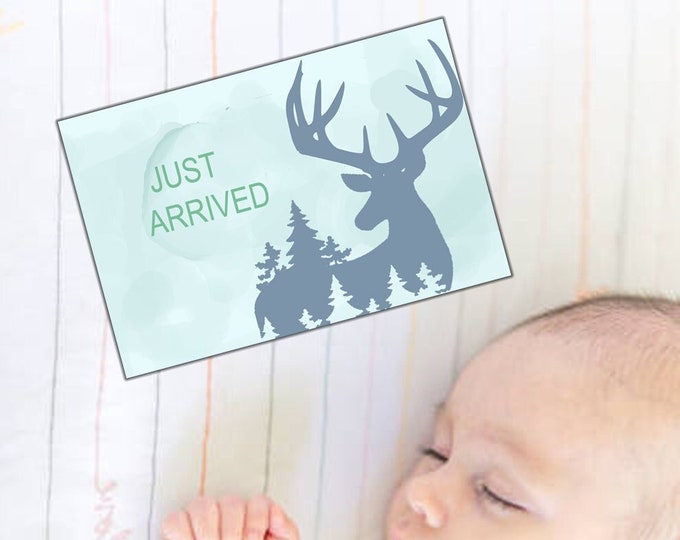 DIGITAL Milestone Month Cards| Baby BOY Monthly Cards | Just Arrived| Watercolor Woodland DEER| Printable Photo Prop- Baby's Firsts |