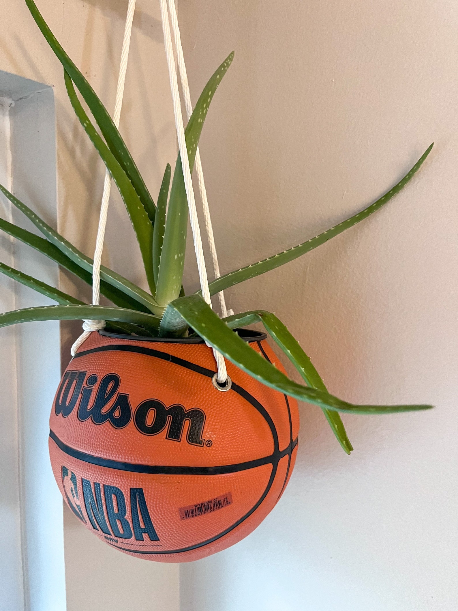 Hanging Basketball Planter Etsy