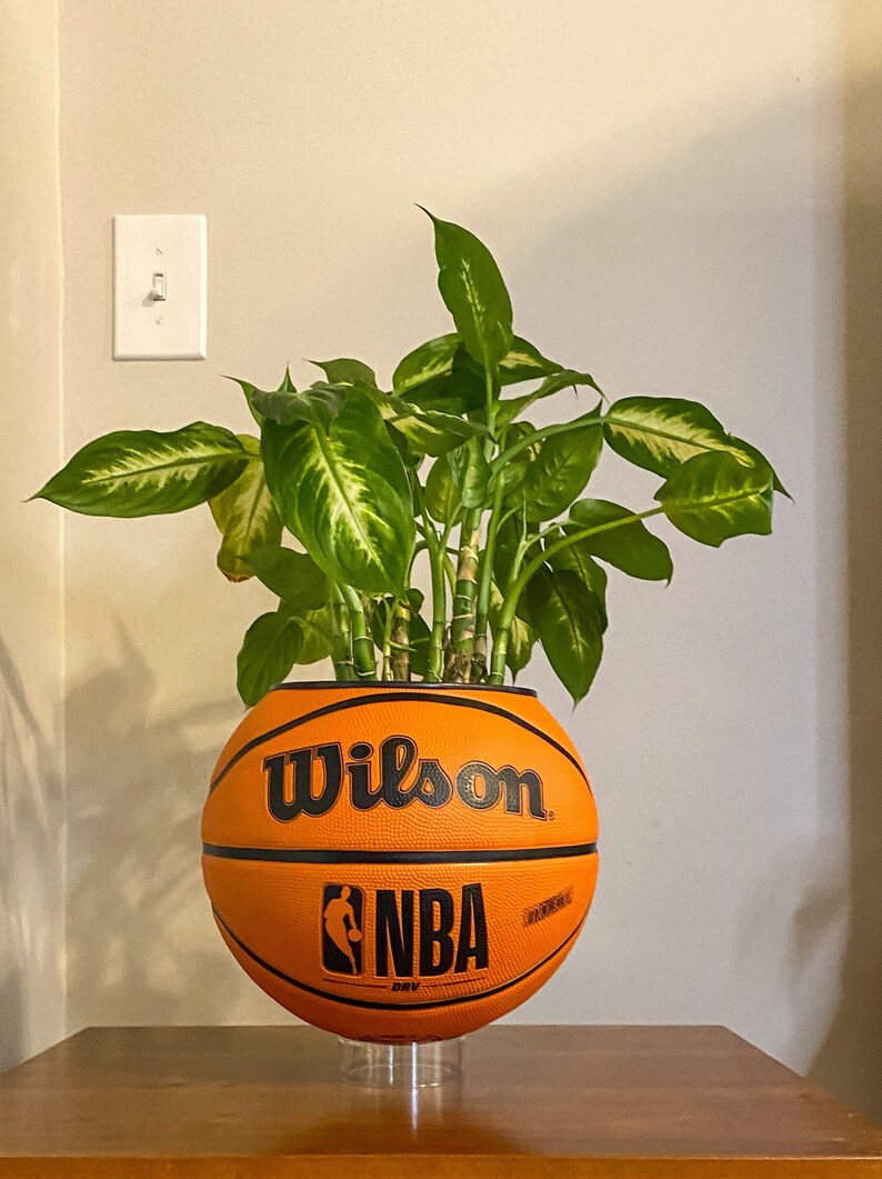 Hanging Basketball Planter Etsy