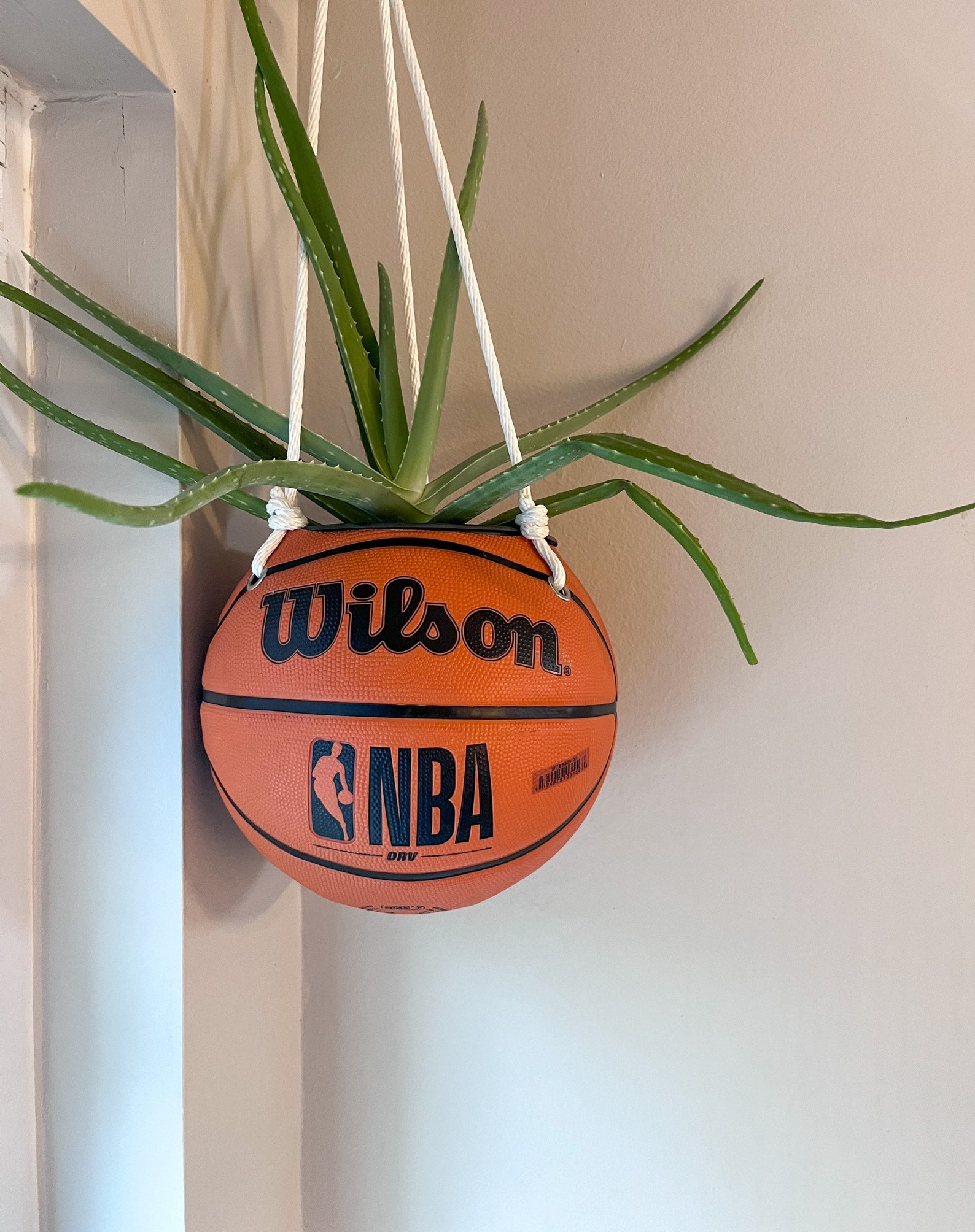 Hanging Basketball Planter Etsy