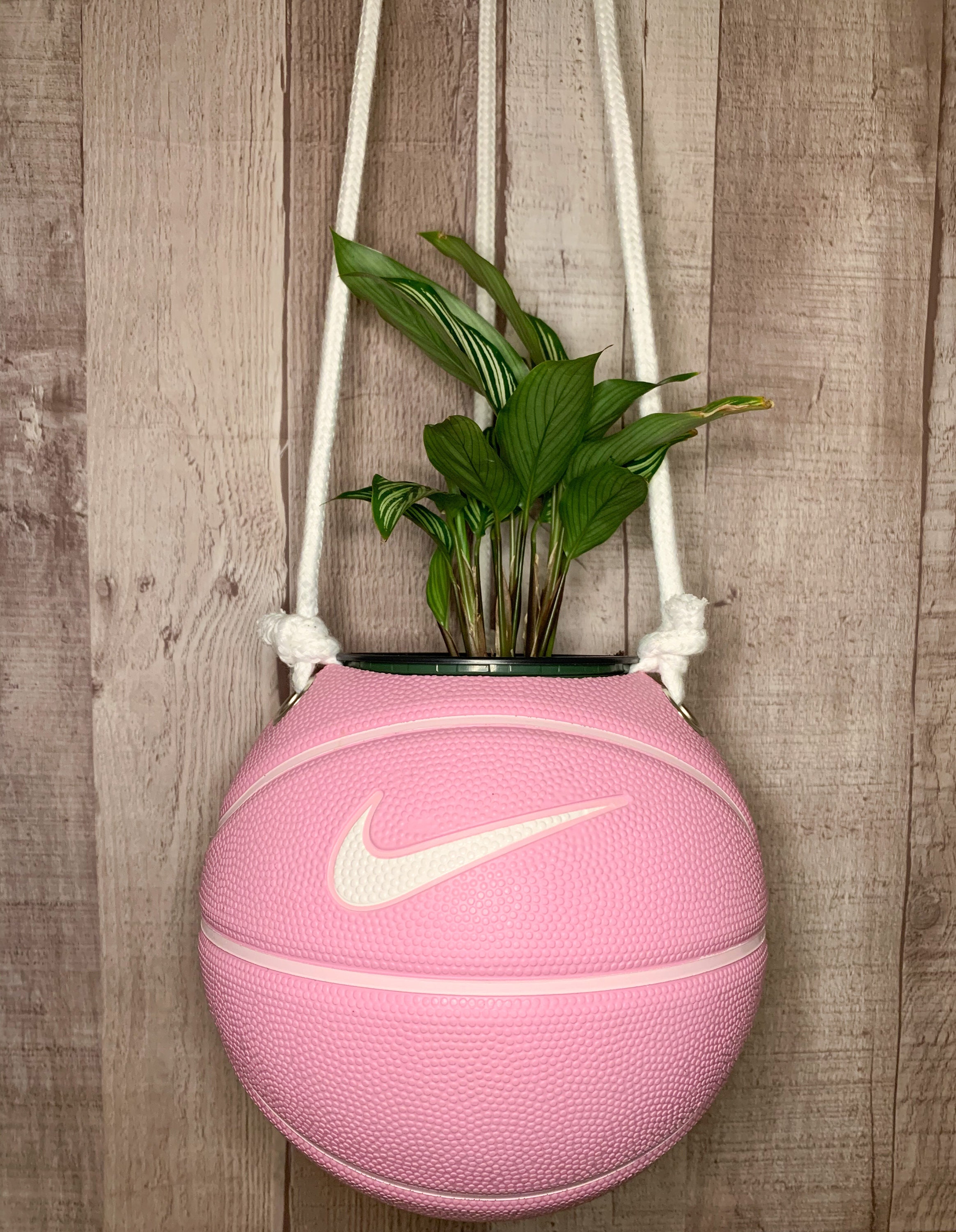 Pink Mini Basketball Planter Etsy