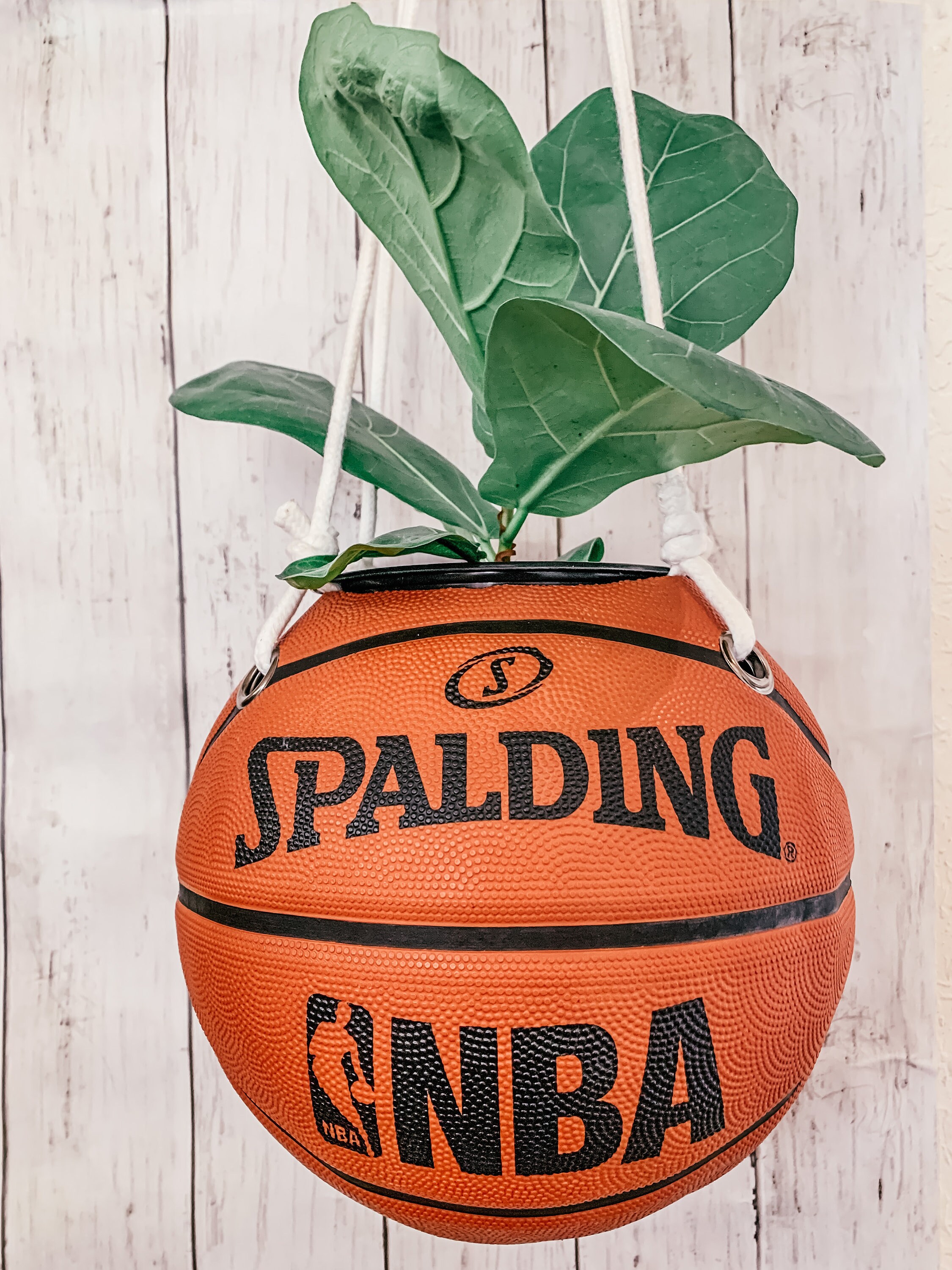 Planter de baloncesto colgante Etsy