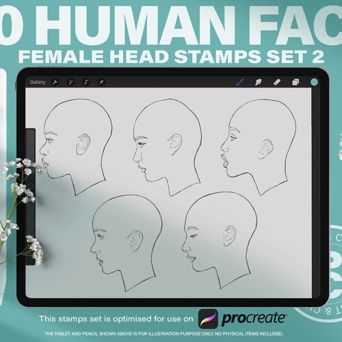 20 Procreate Woman Face Templates Brushes. Female Face Charts Etsy