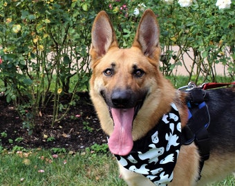 Halloween Glow in the Dark bandana animal - sur le collier