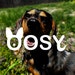 Gisselle Rodriguez