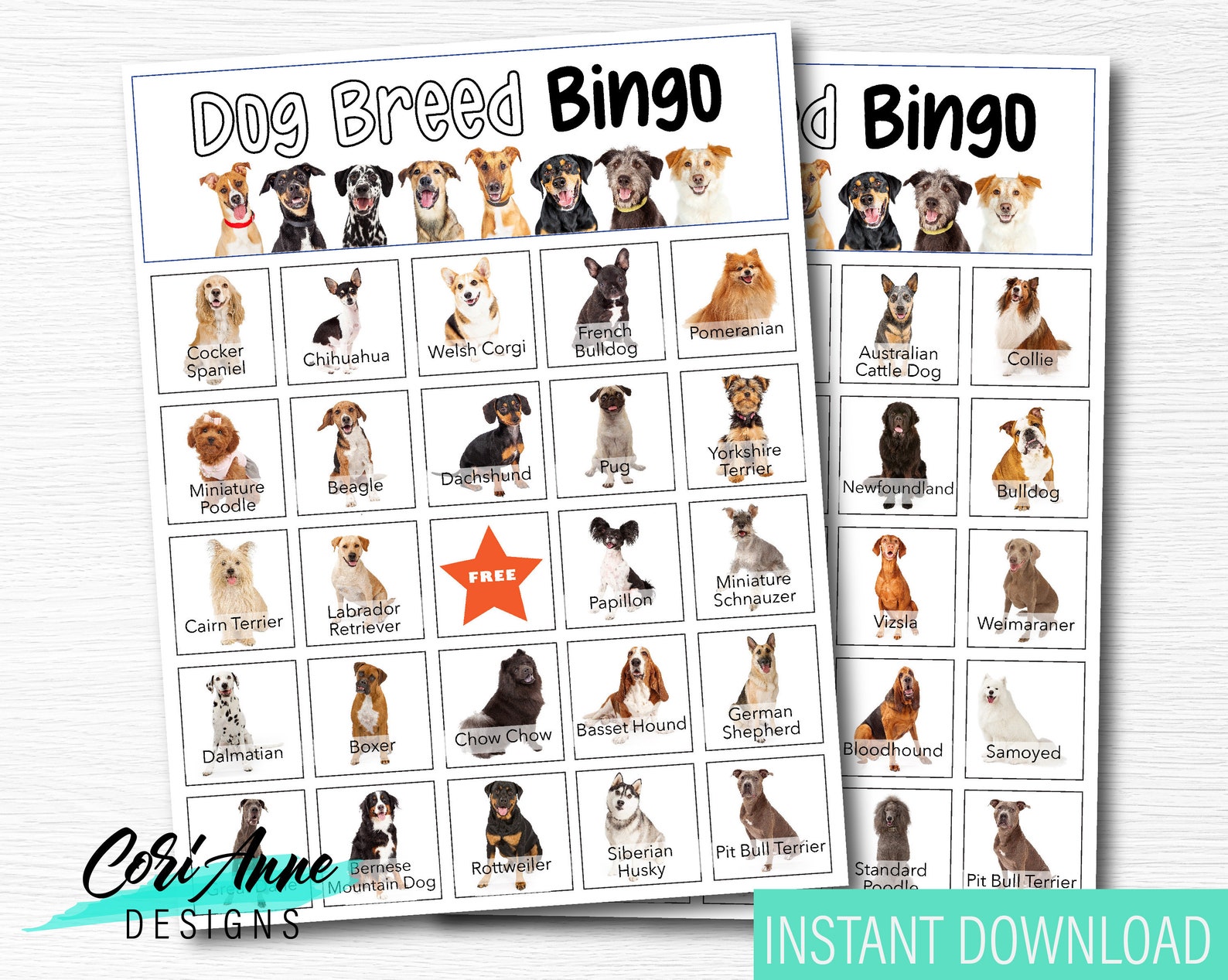 dog class bingo cards dog class bingo cards