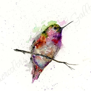 Hummingbird Watercolor Painting, Hummingbird Watercolor Print, hummingbird Art, Wall Art, Nature Print