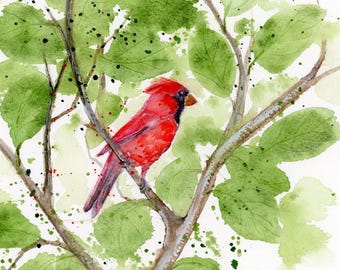 Cardinal Watercolor Print: Cardinal Fine Art