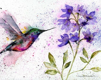 Hummingbird Watercolor Painting, Hummingbird Watercolor Print, hummingbird Art, Wall Art, Nature Print