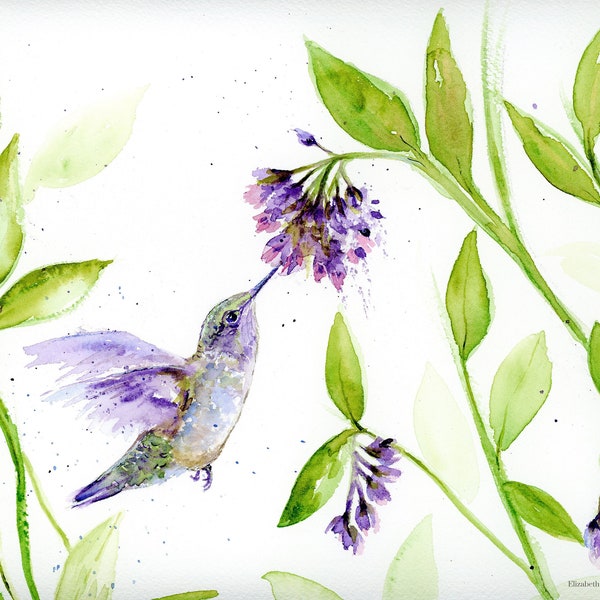 Hummingbird Watercolor Original Painting,  hummingbird Art, Wall Art